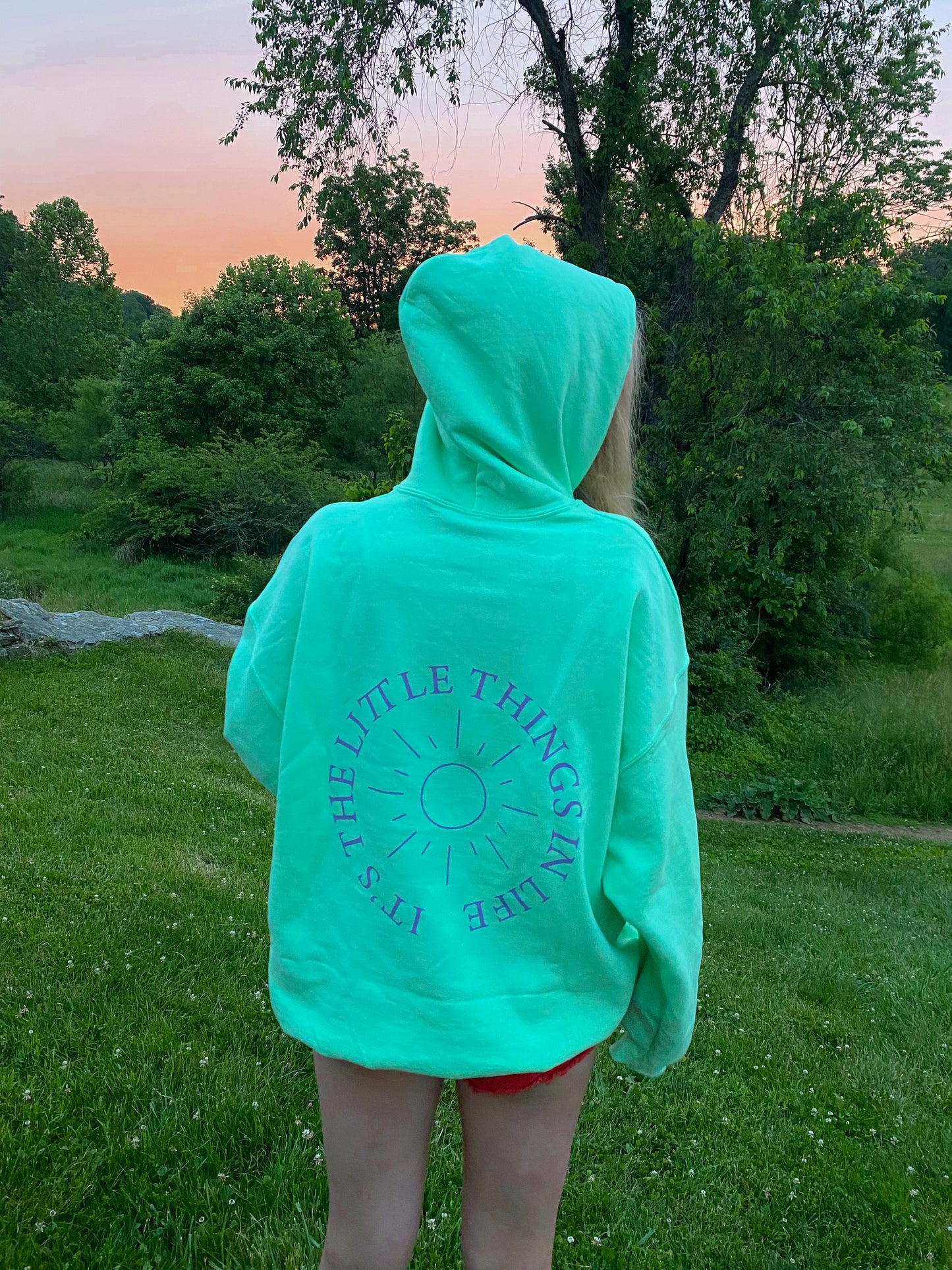 Little things in life hoodie